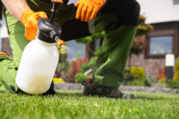 Best Pest Removal Services  in Haiku Pauwela, HI