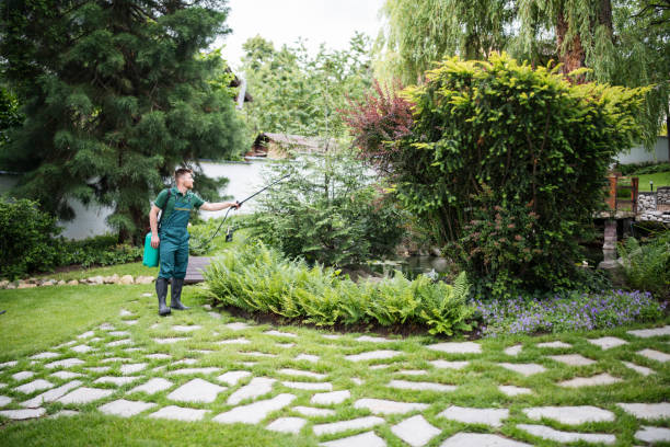 Best Affordable Pest Control Services  in Haiku Pauwela, HI